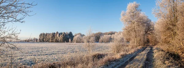Rural Road Field Covered Hoarfrost Blue Sky Winter Morning Country — Stock Photo, Image