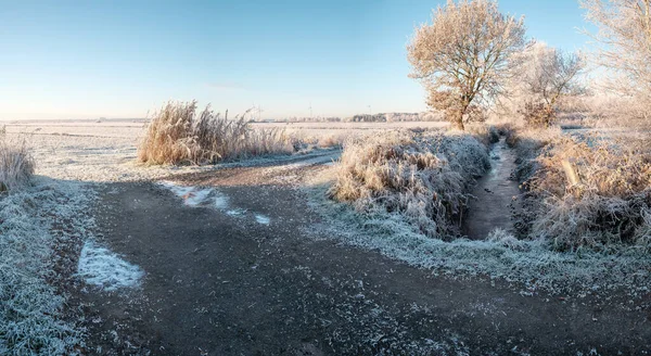 Rural Road Passes Fields Covered Hoarfrost Frosty Winter Morning Country — Stock Photo, Image