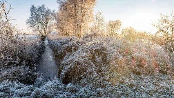 Ditch Covered Ice Grass Hoarfrost Early Morning Sunlight Beautiful Rural — Stock Photo, Image