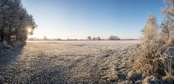 Field Trees Covered Hoarfrost Blue Sky Early Frosty Morning Beautiful — Stock Photo, Image