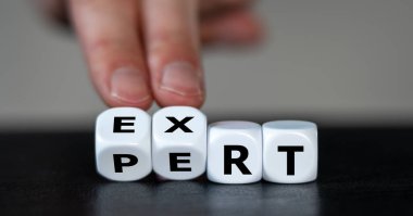 Dice form the word 'expert'. clipart