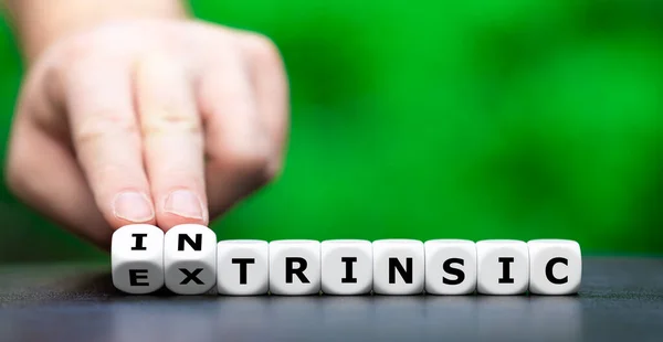Hand Turns Dice Changes Word Extrinsic Intrinsic — Stock Photo, Image