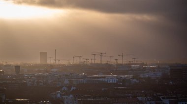 Silhouette of many cranes at a construction site in Hamburg. Germany.