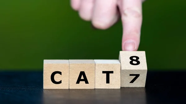 Symbole Technologie Réseau Main Tourne Cube Change Expression Cat7 Cat8 — Photo