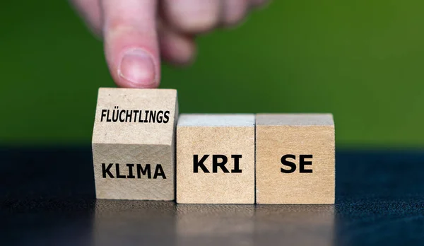 Wooden cubes form the German expressions \'Klima Krise\' (climate crisis) and \'Fluechtlingskrise\' (refugee crisis).