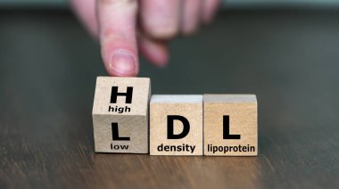 El küpü döndürür ve LDL (düşük yoğunluklu lipoprotein) ifadesini HDL (yüksek yoğunluklu lipoprotein) olarak değiştirir).