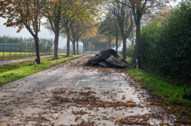Almanya 'da yol yapımı. Köy yolundaki eski sokağın yıkılmış beton blokları..