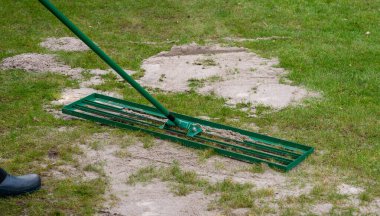 Adam çimlere bir tabaka kum koymak için çim tırmığı kullanıyor. Sözüm ona üst giyinme düzeyi düzensiz kısımları temizler ve çimlerin havalandırılmasına yardımcı olur..