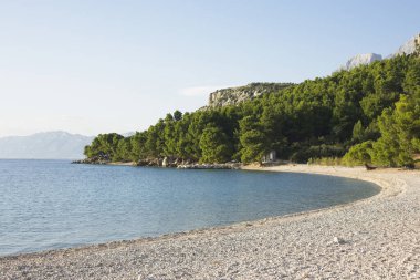 Hırvatistan 'ın Makarska kentindeki berrak mavi deniz boyunca uzanan sakin bir çakıl taşı plajı, uzakta yemyeşil çamlar ve dağlarla kaplı..