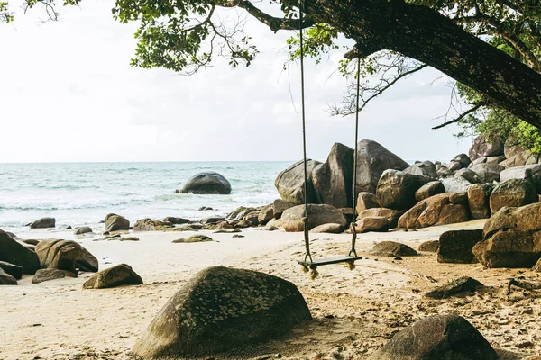老秋千挂在荒凉的岩石沙滩上的一棵树上 海浪在海岸上冲刷着 — 图库照片