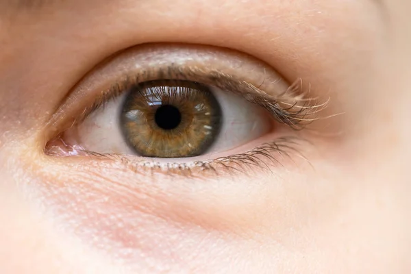 Nahaufnahme Junger Weiblicher Augen Ohne Make — Stockfoto