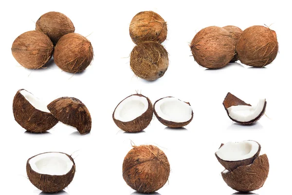 白い背景に隔離された異なるココナッツのコレクション — ストック写真