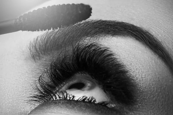 Closeup Female Eye Beautiful Long Lashes Mascara Wand — Stock Photo, Image