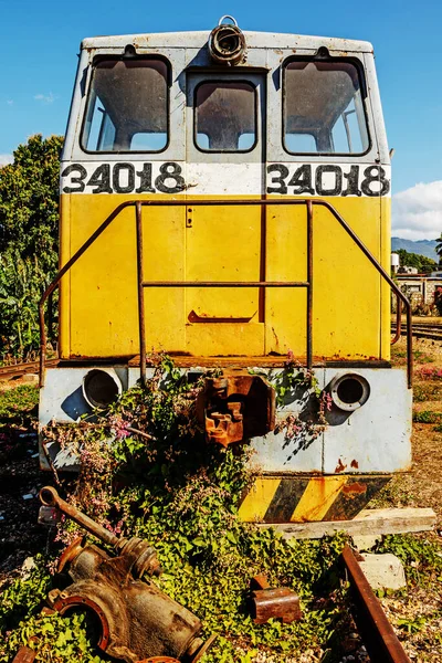 Old Abandoned Overgrown Locomotive Train Yard — Stock Photo, Image