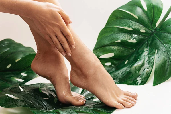 Detailní Záběr Vlhké Samičí Nohy Hladkou Kůží Monstera Deliciosa Tropickým — Stock fotografie