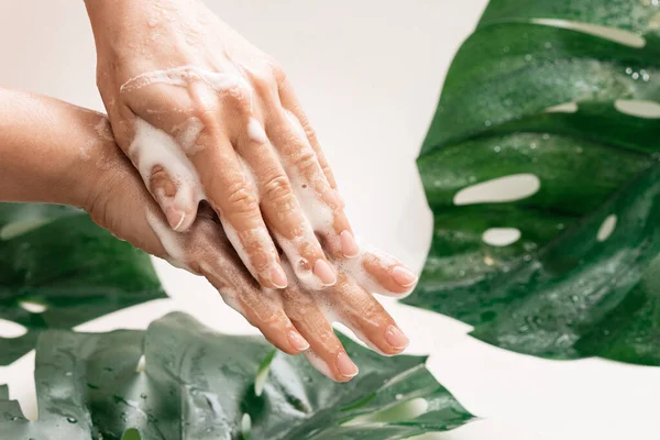 Großaufnahme Weiblicher Hände Mit Reinigungsschaum Vor Tropischem Hintergrund Von Monstera — Stockfoto