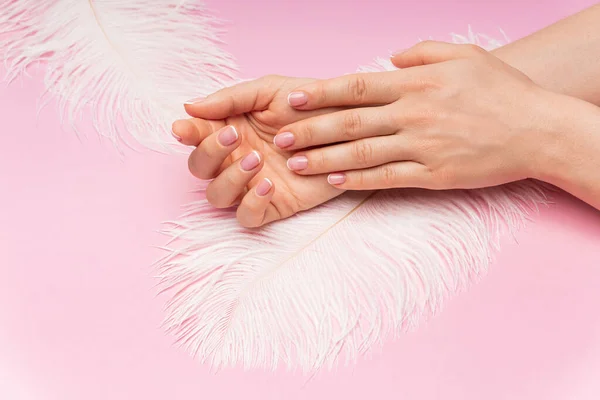 Closeup Female Hands Smooth Skin Soft Ostrich Feather Pink Background — Stock Photo, Image