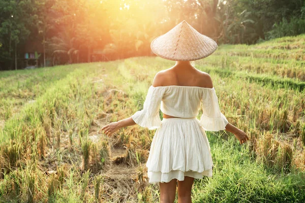 Güneş Batarken Pirinç Tarlasında Doğal Kıyafetler Asya Konik Şapkası Takan — Stok fotoğraf