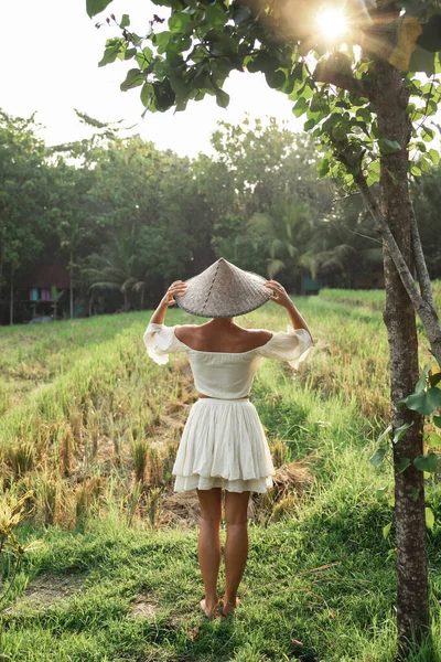 Woman Wearing Natural Clothes Asian Conical Hat Rice Field Sunset — Stock Photo, Image