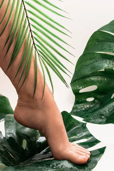 Κοντινό Πλάνο Βρεγμένων Γυναικείων Ποδιών Λείο Δέρμα Και Τροπικά Φύλλα — Φωτογραφία Αρχείου