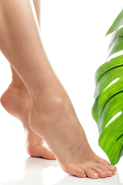 Detailní Záběr Ženských Nohou Měkkou Pokožkou Francouzskou Manikúrou Bílém Pozadí — Stock fotografie
