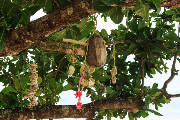 Close Tiro Uma Árvore Desejando Tailândia Decorado Por Moradores Locais — Fotografia de Stock