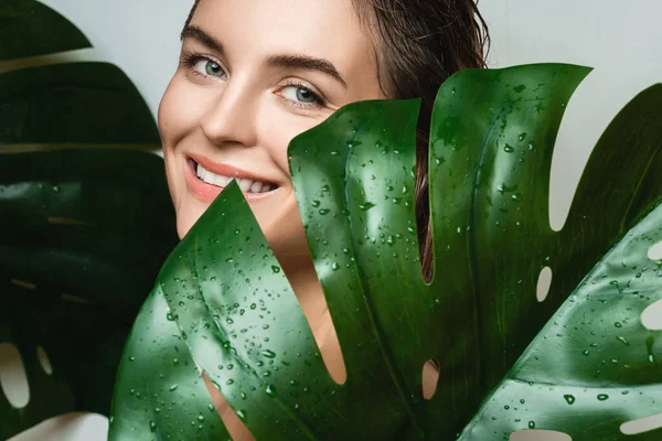 滑らかな肌を持つ美しい若い女性の肖像画モンステラおいしい植物の葉 — ストック写真