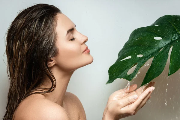 Portrait Beautiful Young Woman Smooth Skin Wet Monstera Deliciosa Plant — Stock Photo, Image