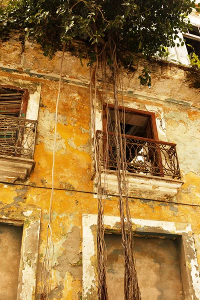 Edifício Residencial Velho Overgrown Favelas Cidade Havana — Fotografia de Stock