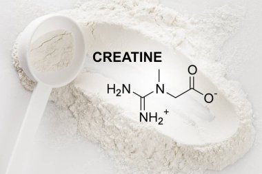 Closeup of scoop with creatine monohydrate supplement and chemical formula clipart