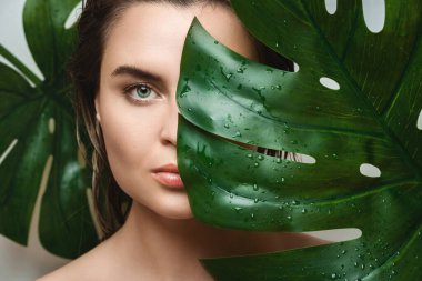 Güzel genç bir kadının portresi pürüzsüz bir cilde sahip Monstera deliciosa bitki yaprağı tutuyor.