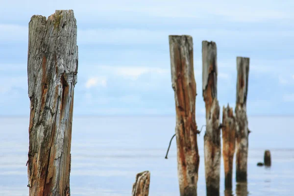 Beautiful Shot Calm Sea Scenery Broken Pier Poles Sticking Out — Stock Photo, Image