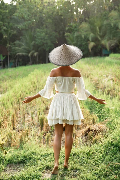 Güneş Batarken Pirinç Tarlasında Doğal Kıyafetler Asya Konik Şapkası Takan — Stok fotoğraf