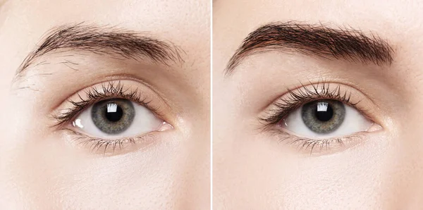 眉毛修整或永久妆容后女性眉毛的比较 — 图库照片