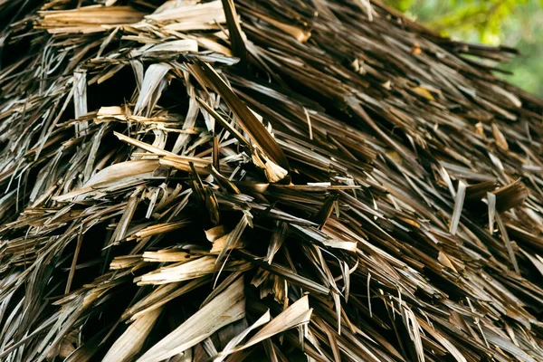 Kuru Palmiye Yapraklarından Yapılmış Çatıyı Kapat — Stok fotoğraf
