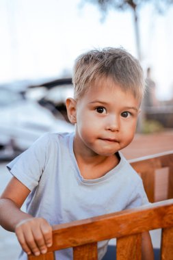 Mavi tişört giyen meraklı küçük çocuğun açık hava portresi..