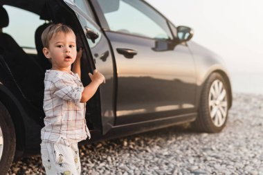 Bebeklerin bir yol gezisi sırasında sahildeki keşifleri.