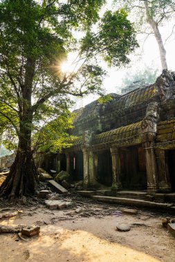 Antik Khmer tapınağının kalıntıları. Angkor, Siem Reap, Kamboçya 'da.