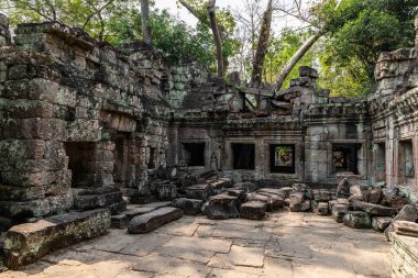 Antik Khmer tapınağının kalıntıları. Angkor, Siem Reap, Kamboçya 'da.