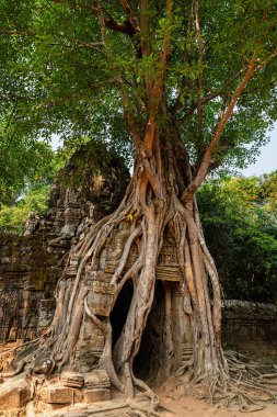 Antik Khmer tapınağının kalıntıları. Angkor, Siem Reap, Kamboçya 'da.