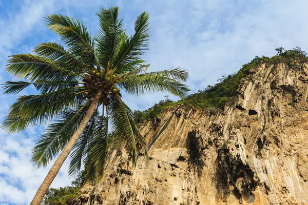 Scenic View Palm Tree Limestone Cliffs Beach Thailand Evokes Sense Stock Picture