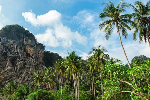 Scenic View Palm Trees Limestone Cliffs Beach Thailand Evokes Sense Royalty Free Stock Photos
