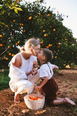 Genç Anne ve Oğlu Portakal Topluyor.