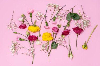 Neşeli bir görüntü için pembe bir zemine yayılmış canlı çiçekler..