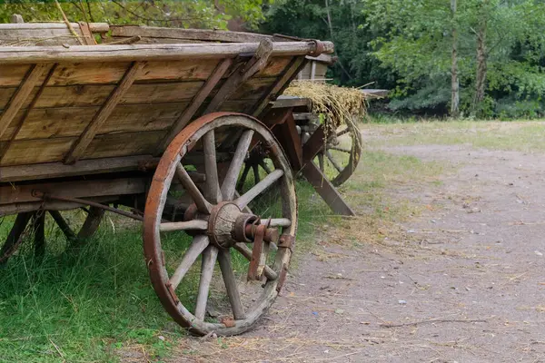 Tahta tekerlek. Antika ahşap araba. Doğada kırsal taşıma.