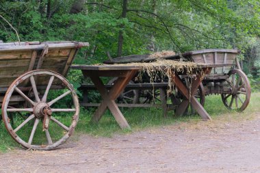 Doğada taşralı bir taşıma aracı. Antika ahşap araba.. 