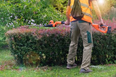 Yazın çalıları budamak için elektrikli aletler kullanılıyor. Üniformalı bir adam yazın şehir parkında çalıları buduyor. Güneşli.