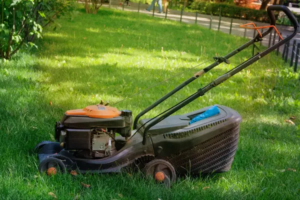 Şehir parkında çim biçme makinesi. Yazın çim biçmek için elektrikli aletler kullanıyorlar. Yazın çim biçmek. Güneşli.