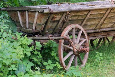 Tahta tekerlek. Doğa manzarasında kırsal taşıma. Eski ahşap araba.. 