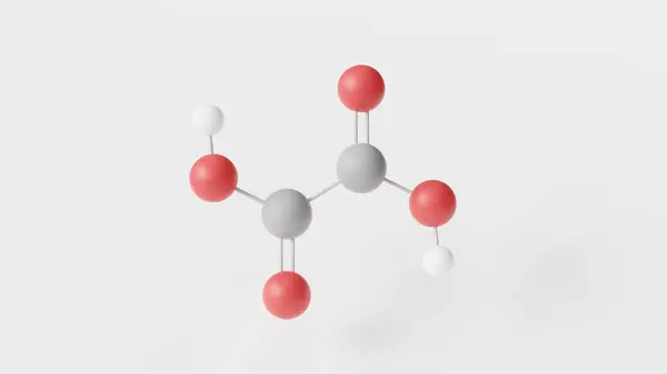 Oxálsav Molekula Molekuláris Szerkezet Labda Bot Modell Szerkezeti Kémiai Képlet — Stock Fotó